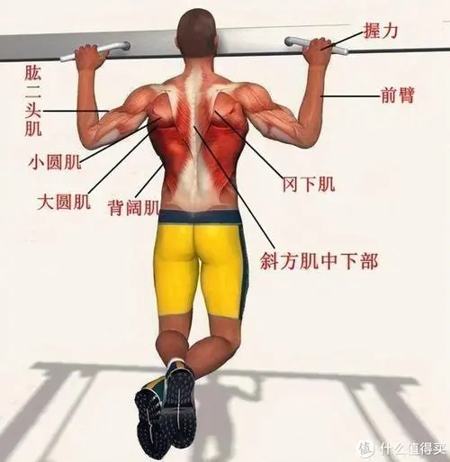 大东区绿化亮化工程